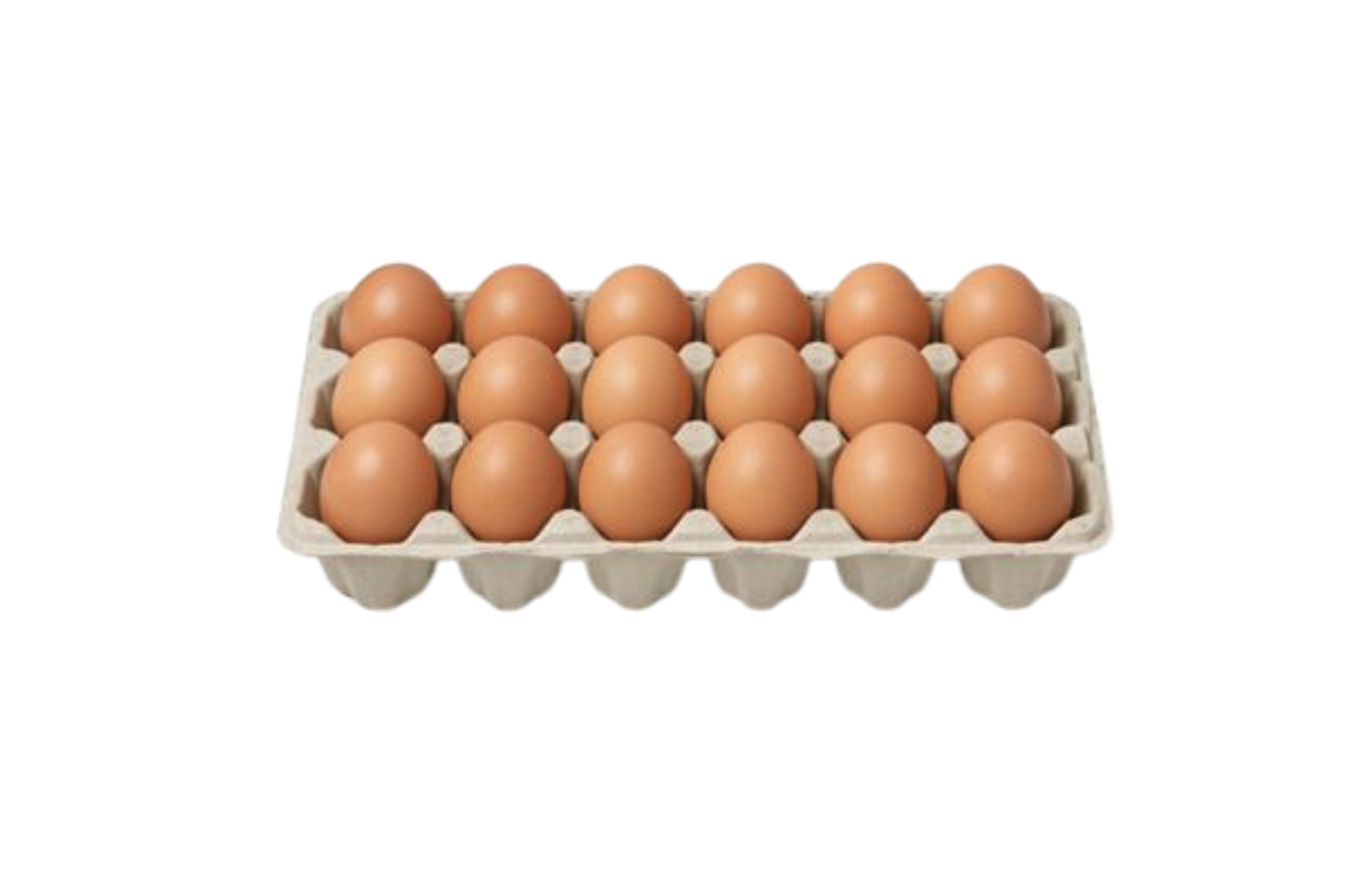 18-Egg Family Pack