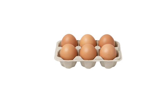 6 Fresh 6-Egg Carton