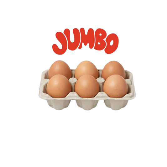 6-Egg Carton – JUMBO