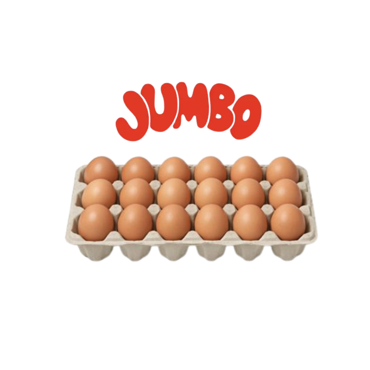 18-Egg Family Pack – JUMBO