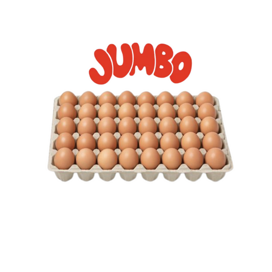 30-Egg Bulk Box – JUMBO